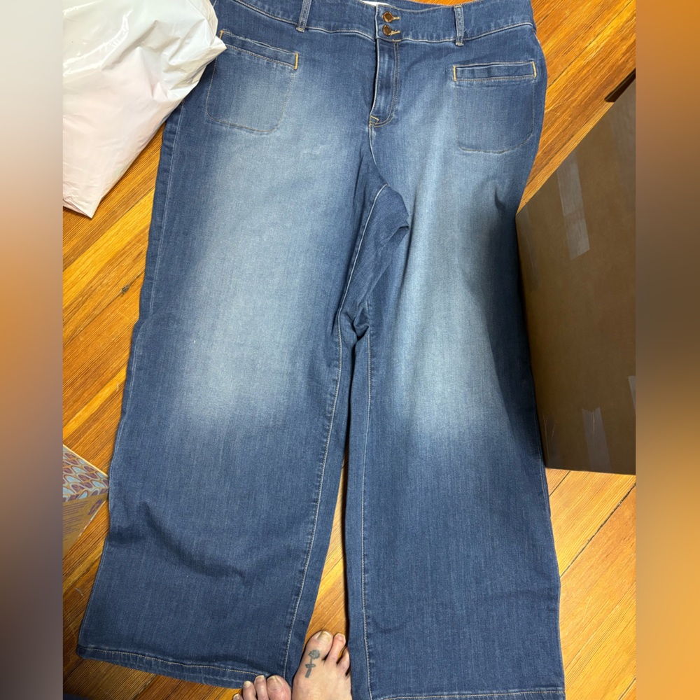 Lane Bryant Blue Flare & Wide Leg Jeans plus size